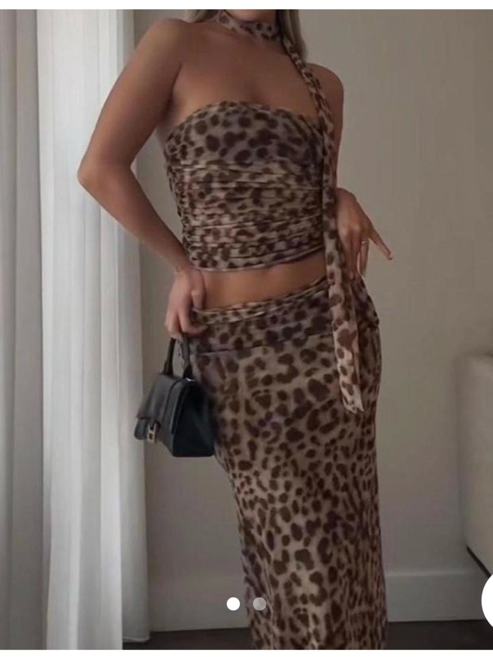 Zara Cheetah Print Top & Skirt Set